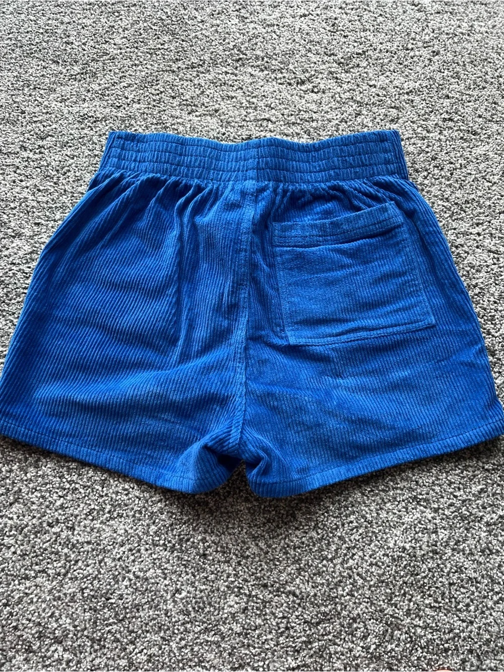 Hammies Royal Blue Corduroy Shorts